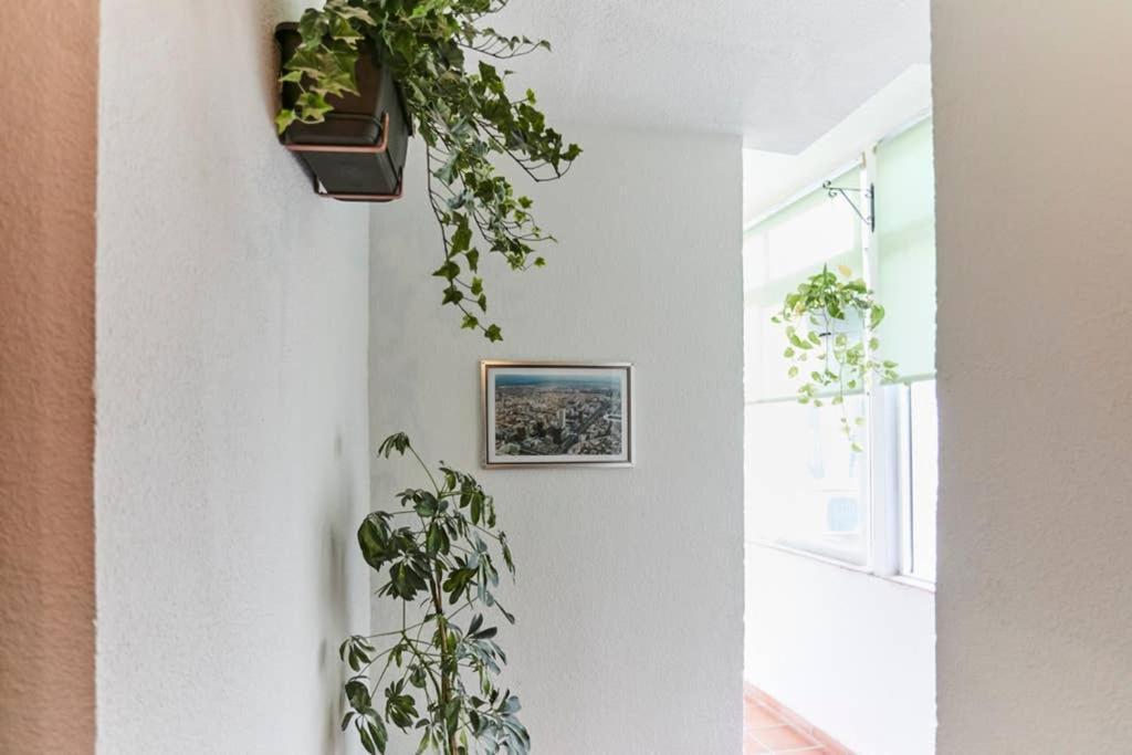 Original Y Coqueto Apartamento Junto A La Plaza Mayor Madrid