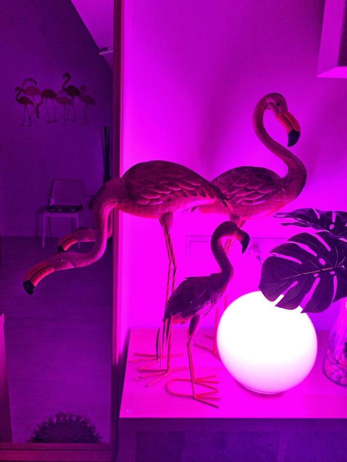 Flamencos, Malasaña Apartamento *