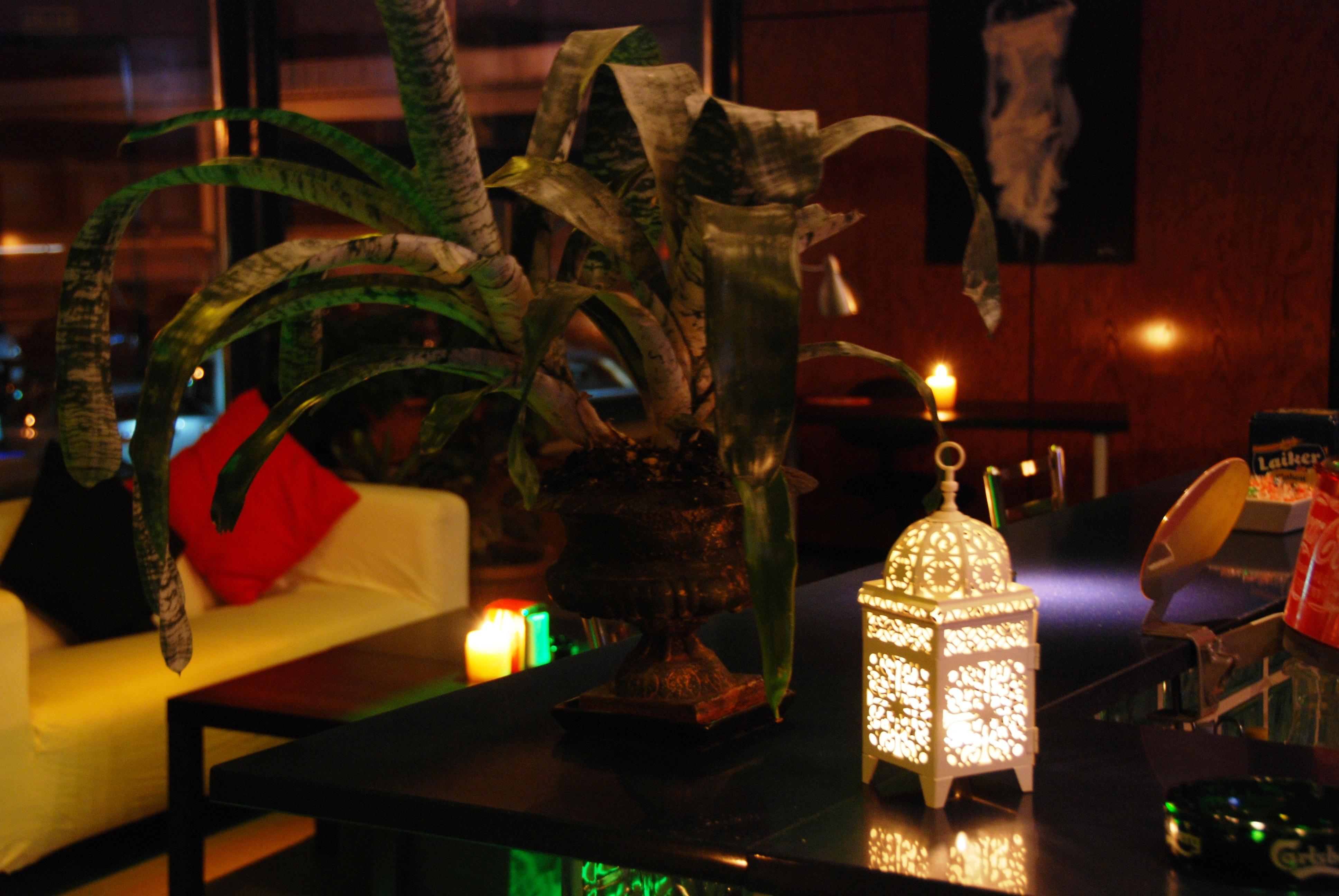 Hotel Ap Airport 3*