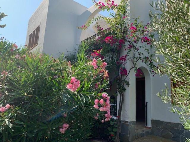 Apartamento Maravilloso Playa-jardin Botanico In Vera Playa, Almeria Playas de Vera