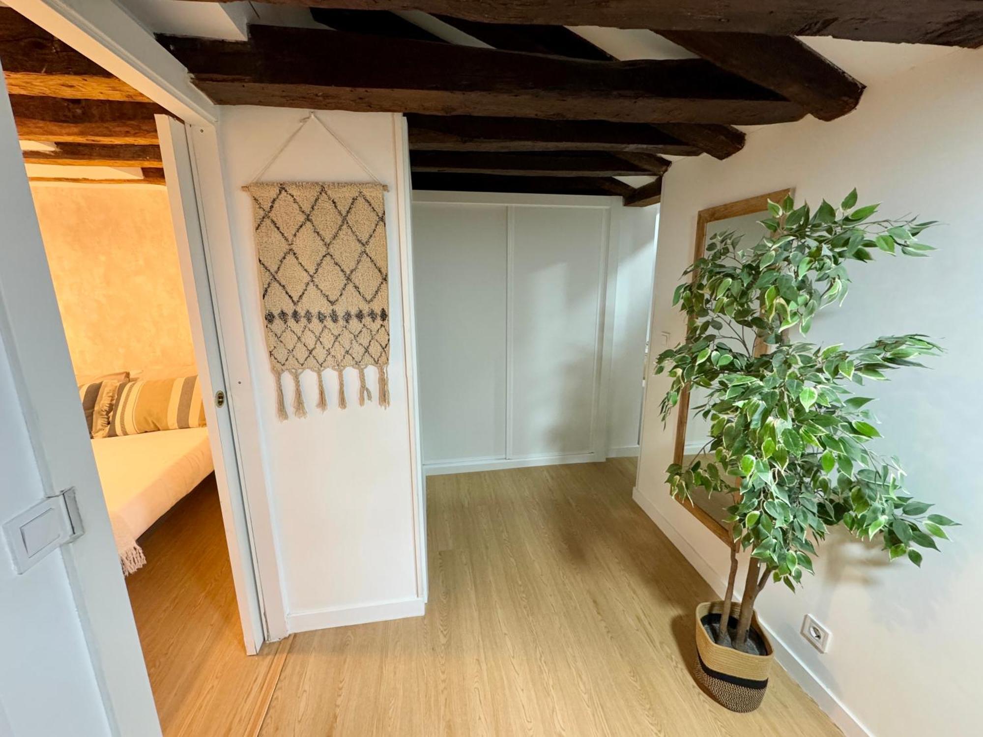 Apartamento Para Grupos Y Familias, Sol