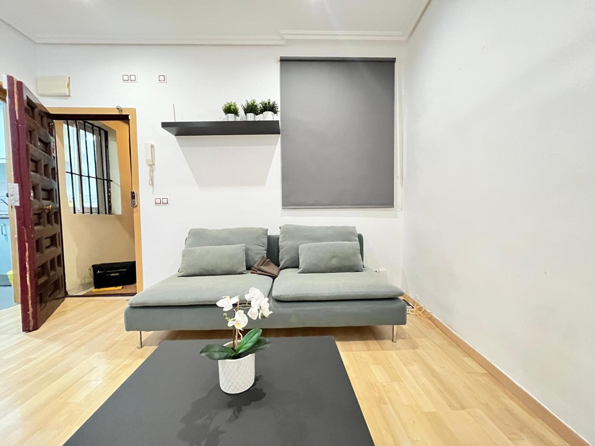 Apartamento Centro Embajadores Ave *
