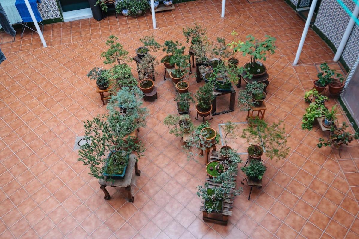 Great Plaza Ideal For Families *