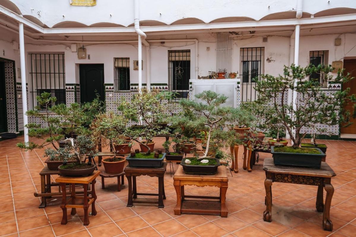 Great Plaza Ideal For Families * Madrid