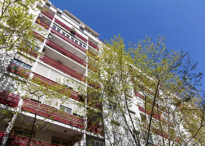 Dobo Homes Clara Del Rey