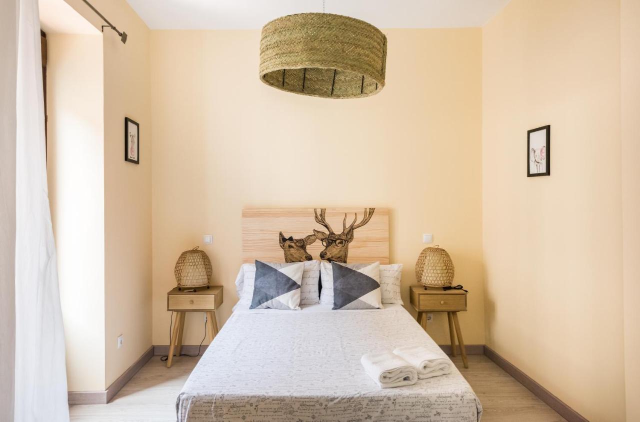 Apartamento La Dualidad De Miguel Servet *