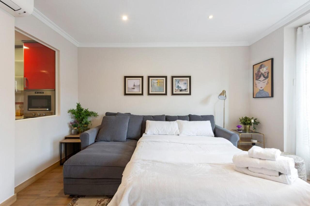Elegant 1 Bedroom In The Heart Of Centro Apartamento Madrid