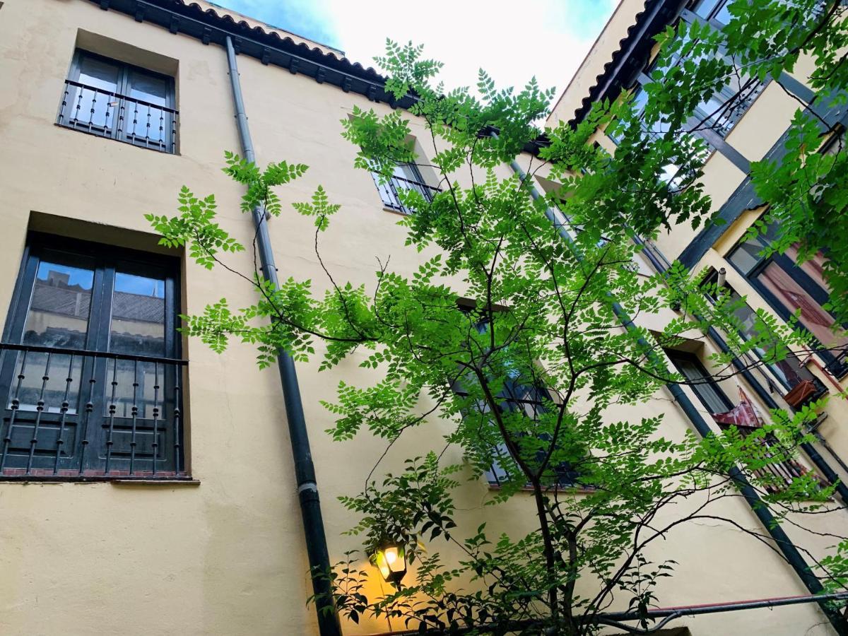 Siete Monos Apartamento *