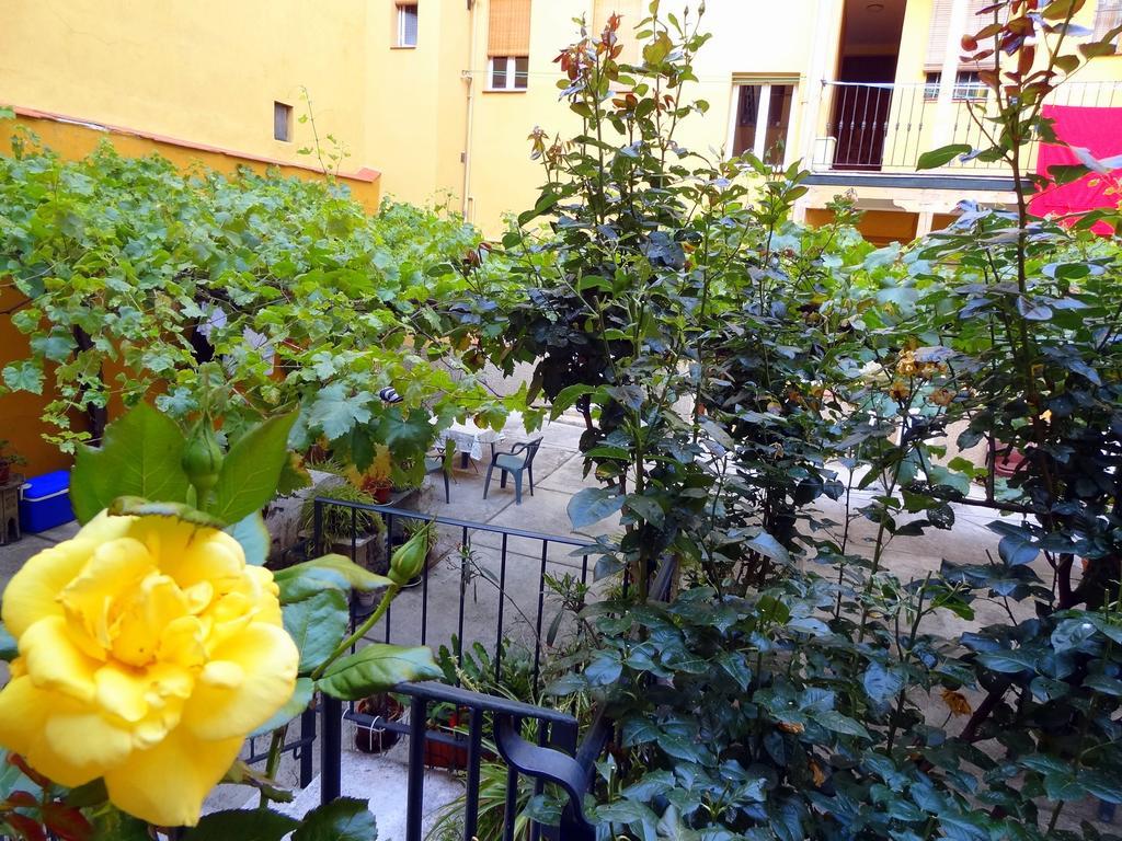 Apartment Olivar