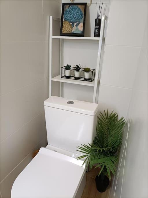 Apartamento Nuevo Y En El Centro De *