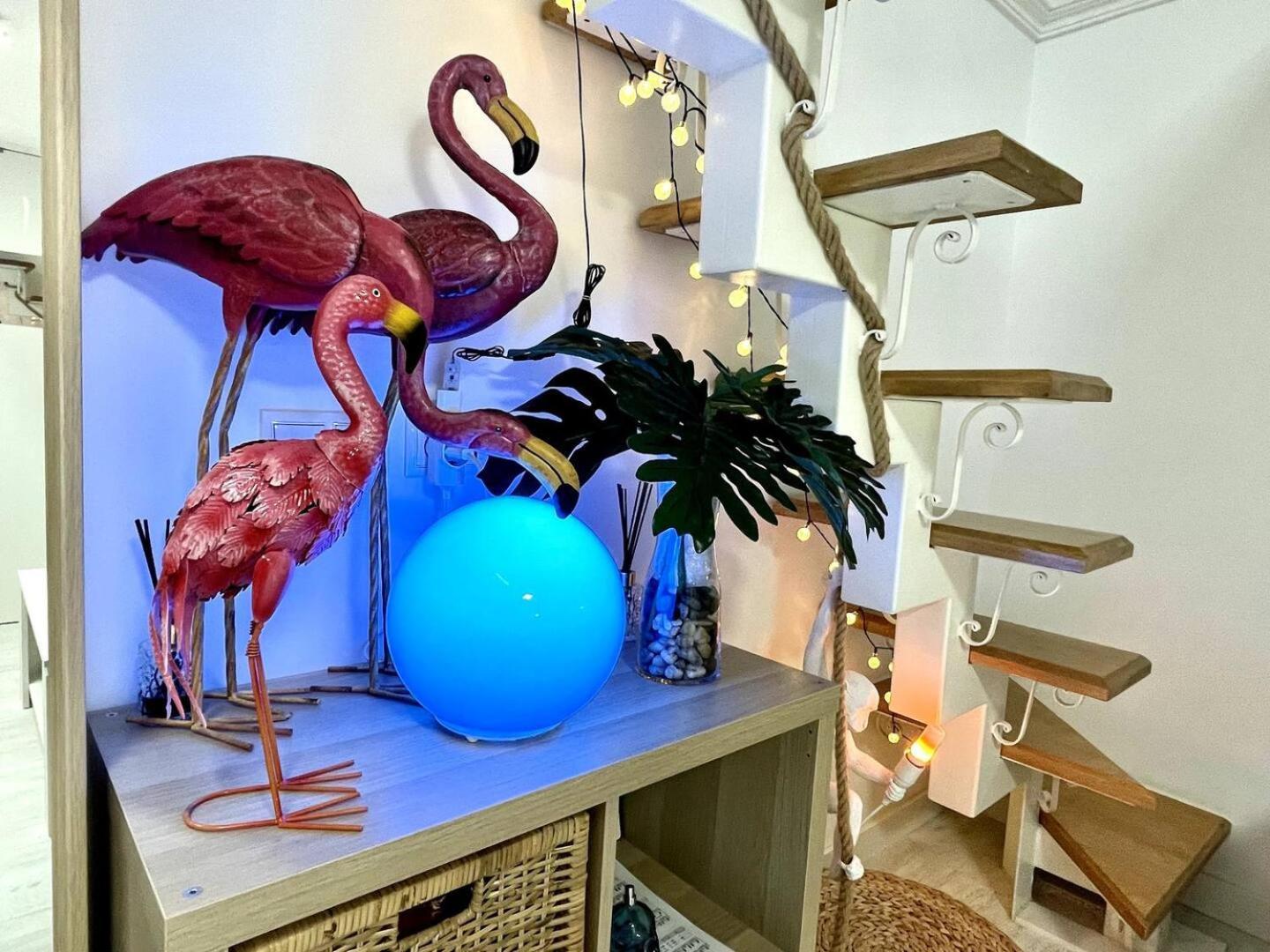 Flamencos, Malasana Loft 45mq * Madrid