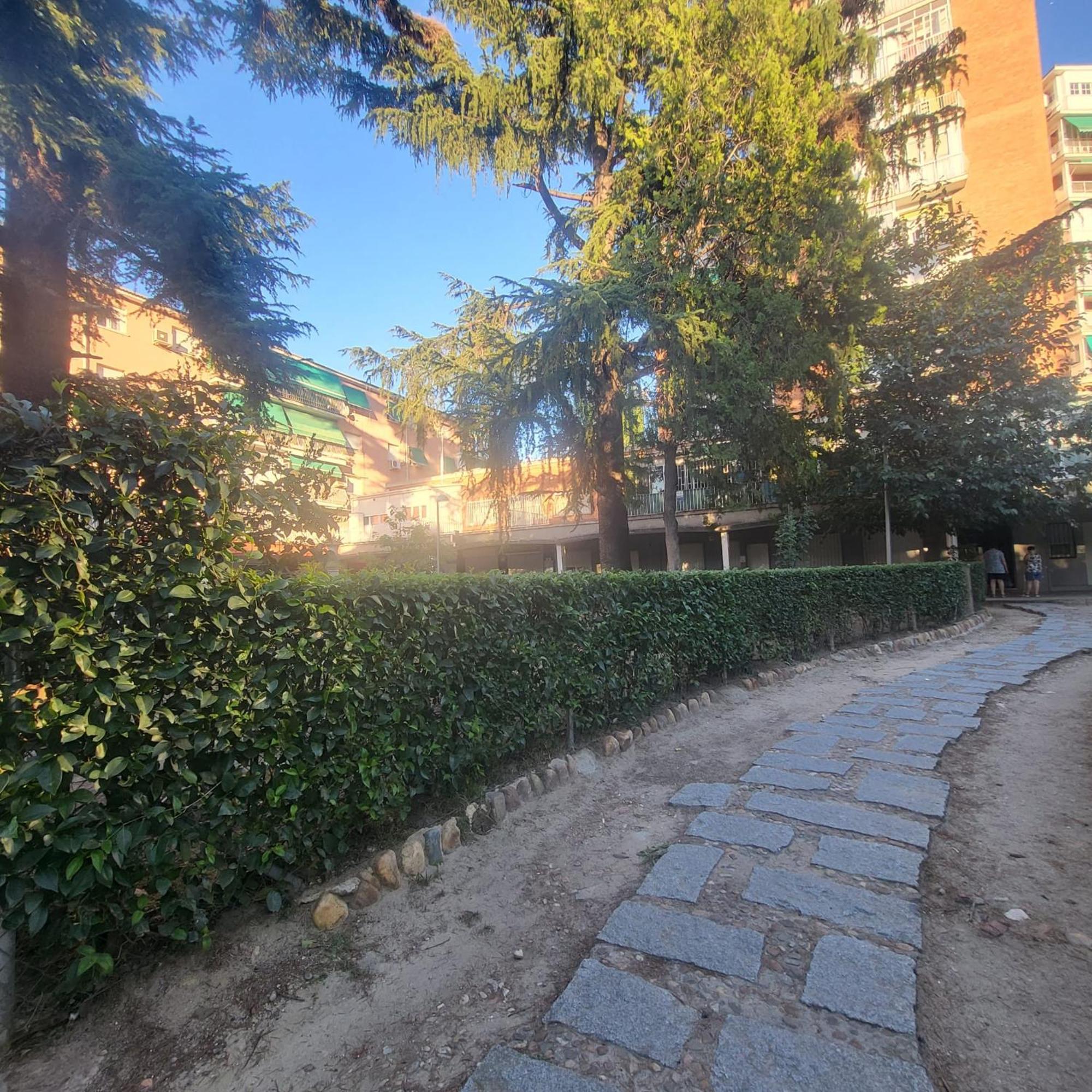 Apartment Volpi Mazzo *
