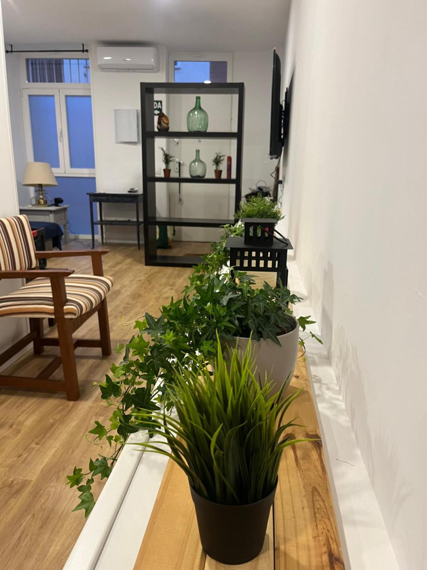 Exclusivo En Apartamento *