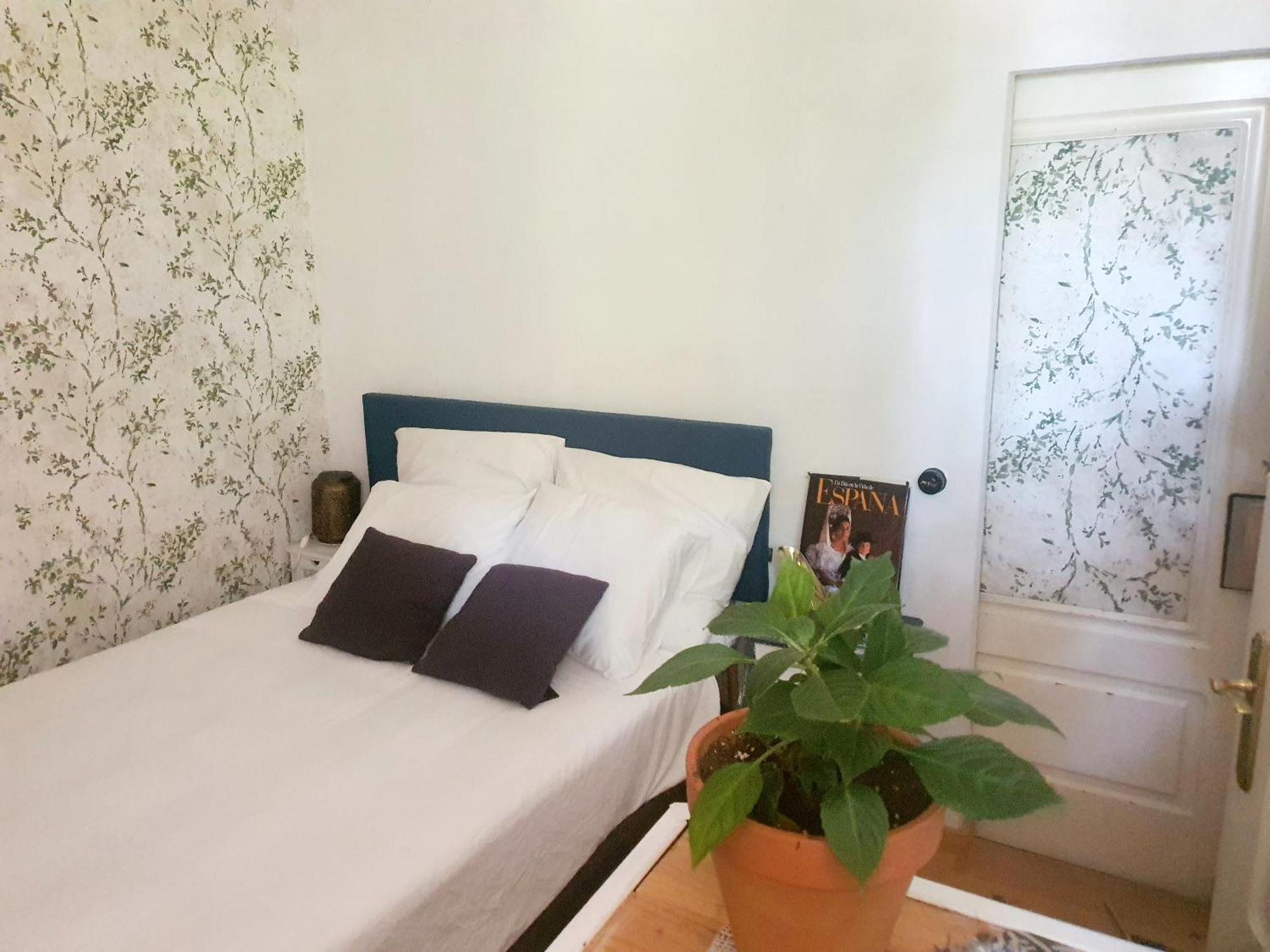 Apartamento Libros Y Plantas A 5 Minutos Del Centro En Bus