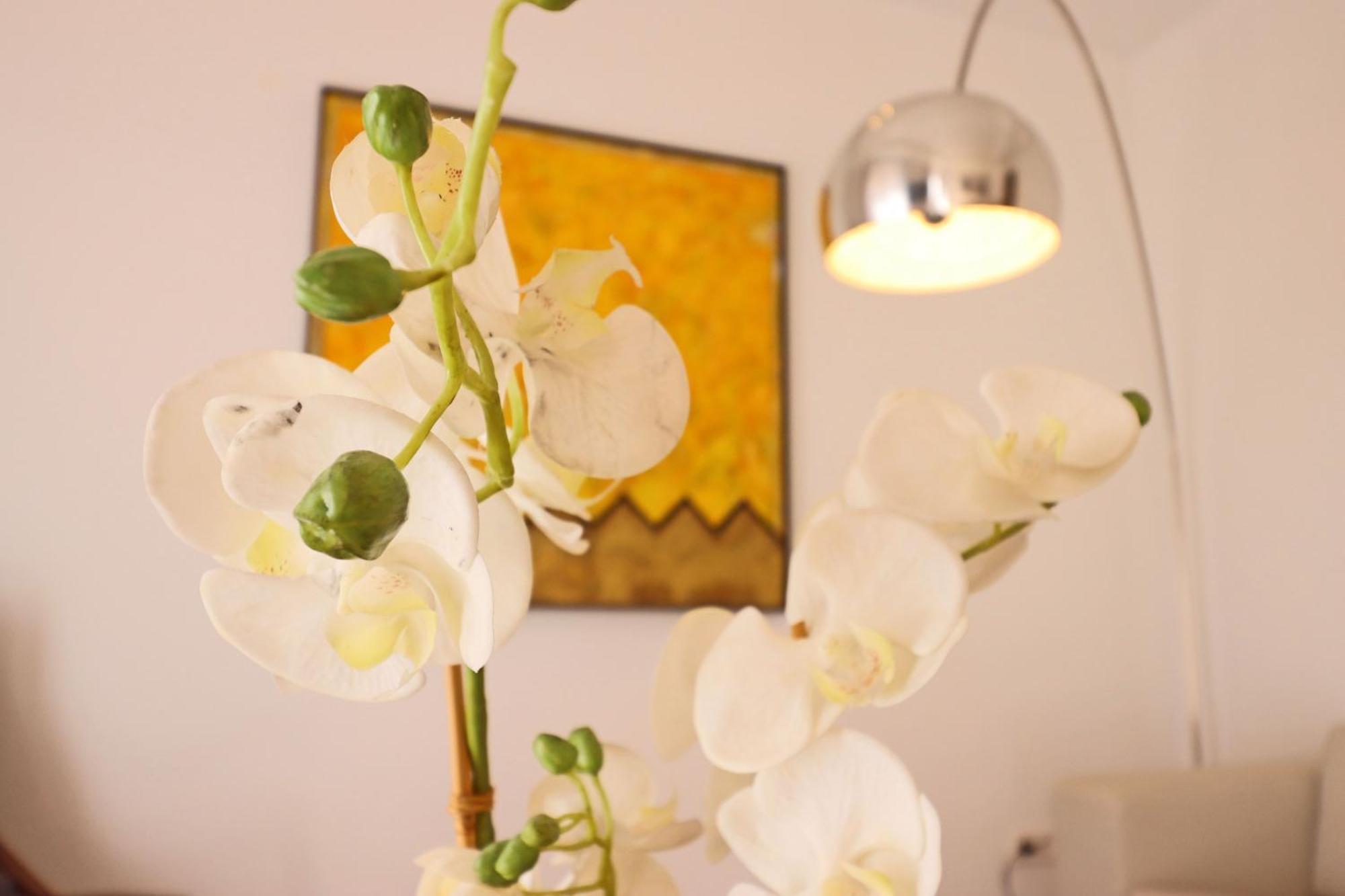 House Of Arts - Justicia Apartamento