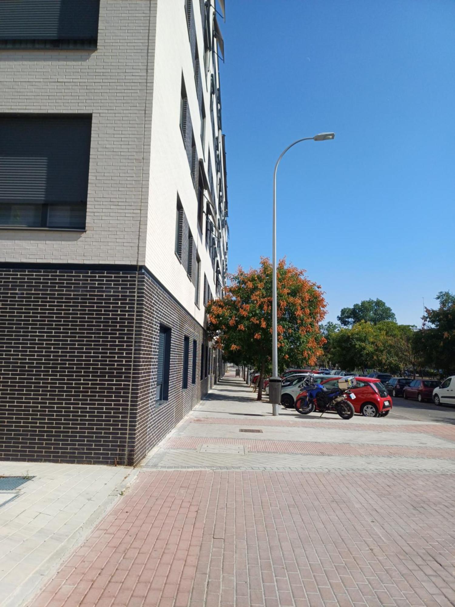 Estudios Nuevos Centro Pensión *