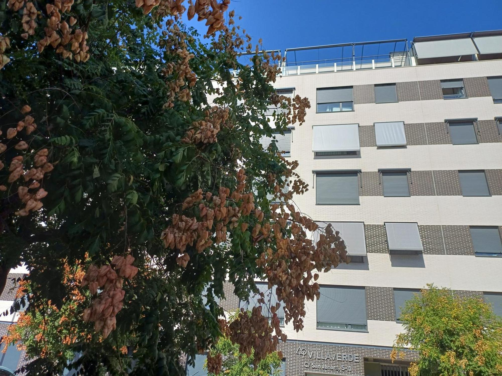 Pensión Estudios Nuevos Centro