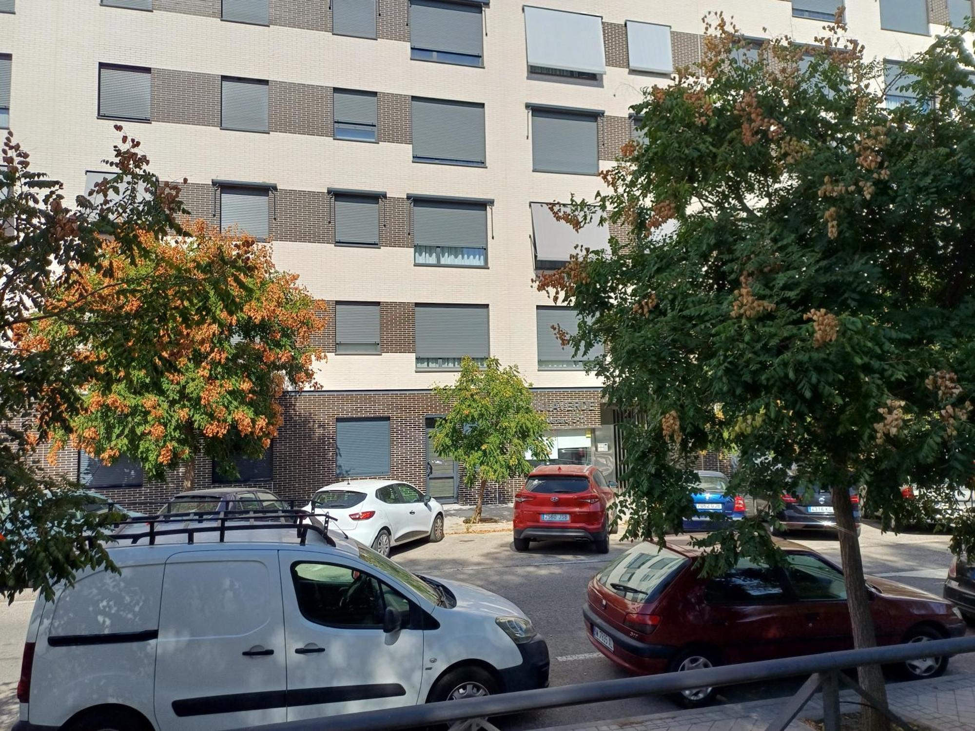 Estudios Nuevos Centro Madrid