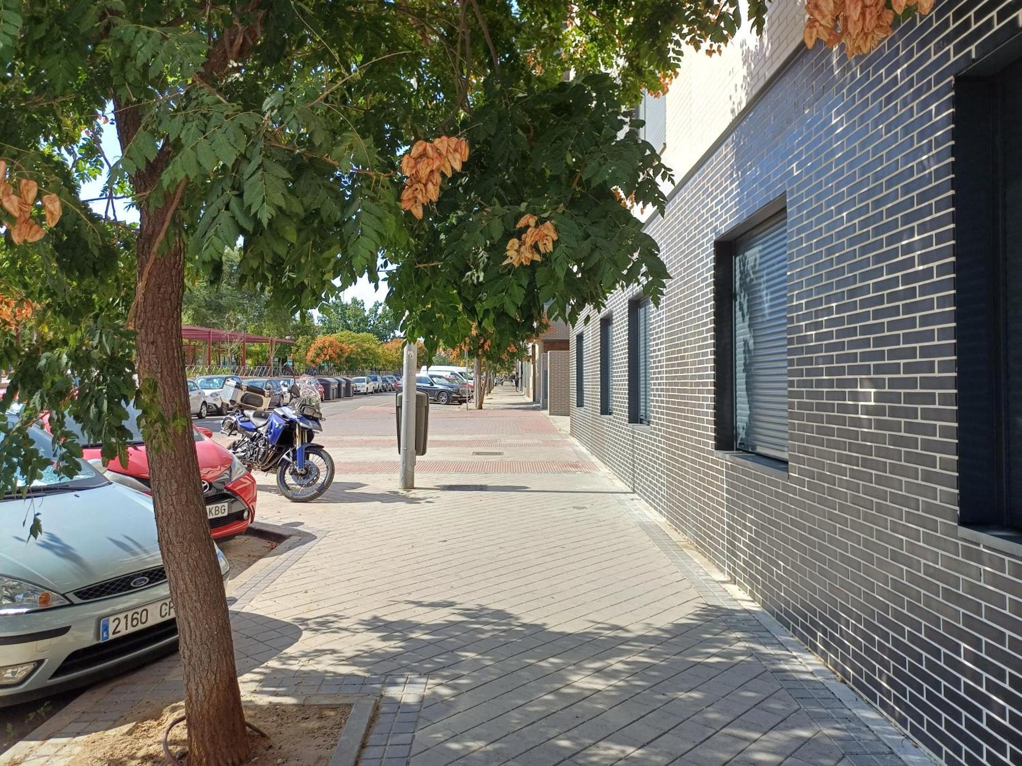 Estudios Nuevos Centro *