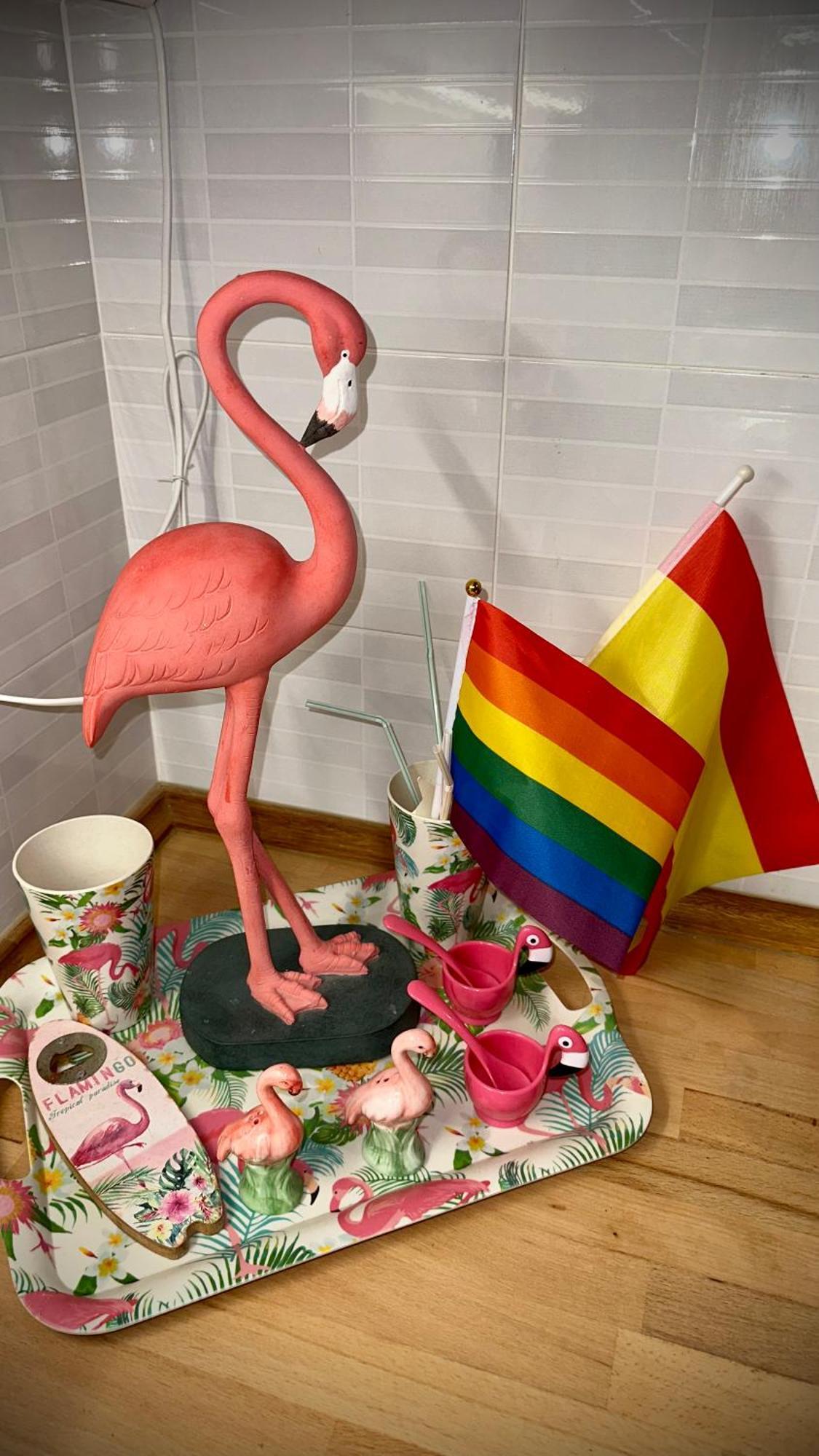 Flamencos, Malasana Loft 45mq Apartment