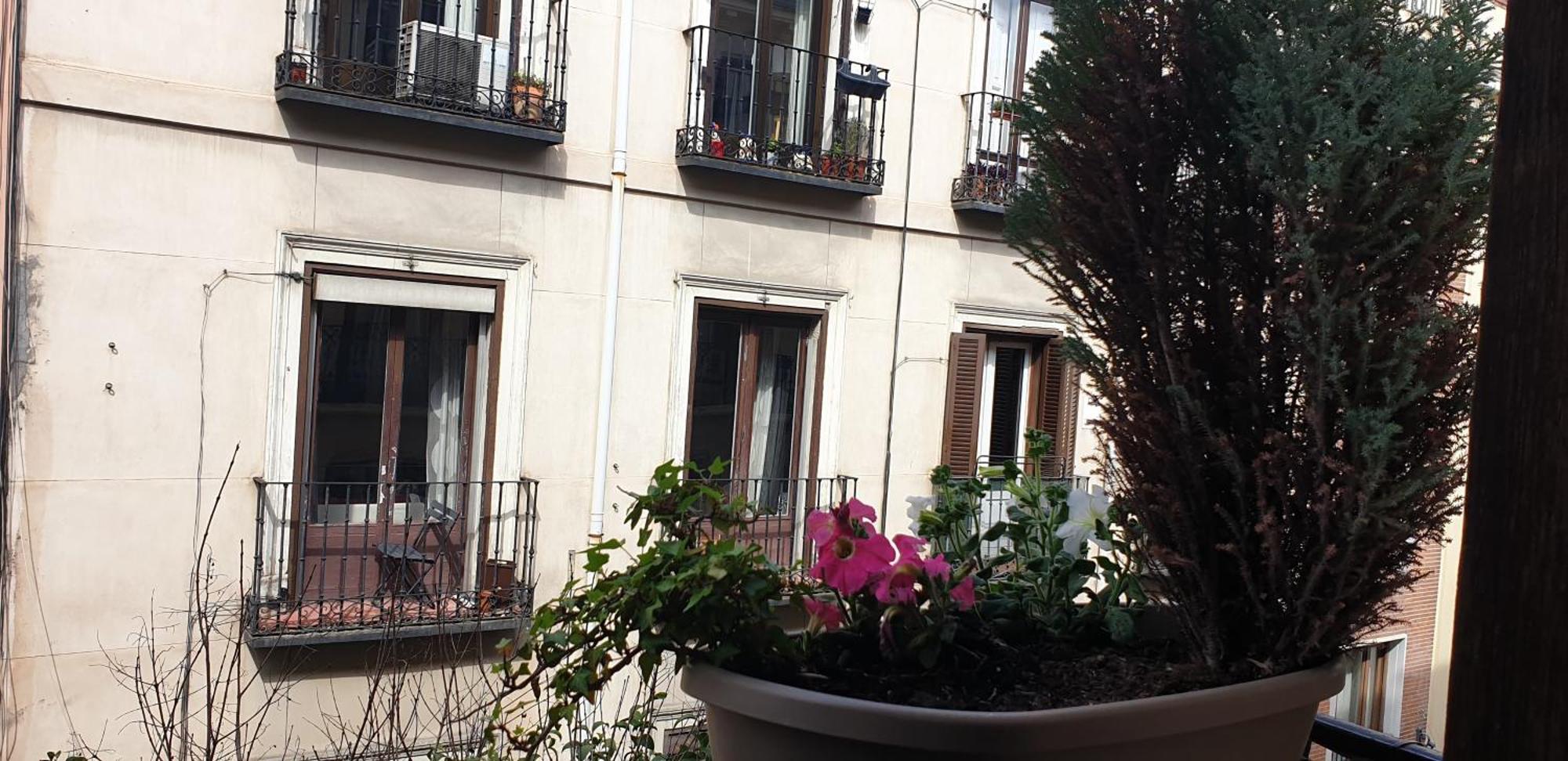 Fuentes 2* Madrid