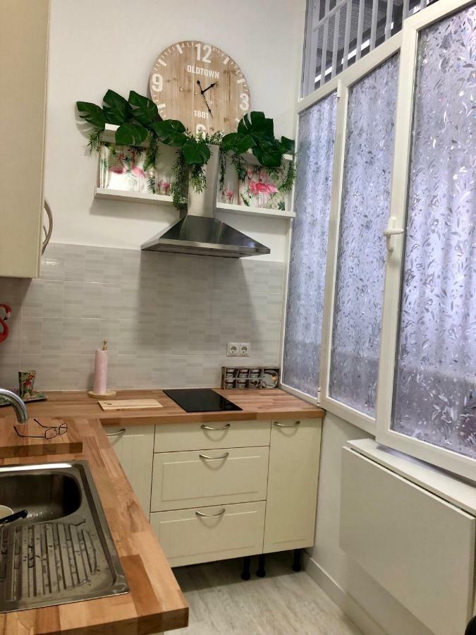 Apartment Flamencos, Malasana Loft 45mq *