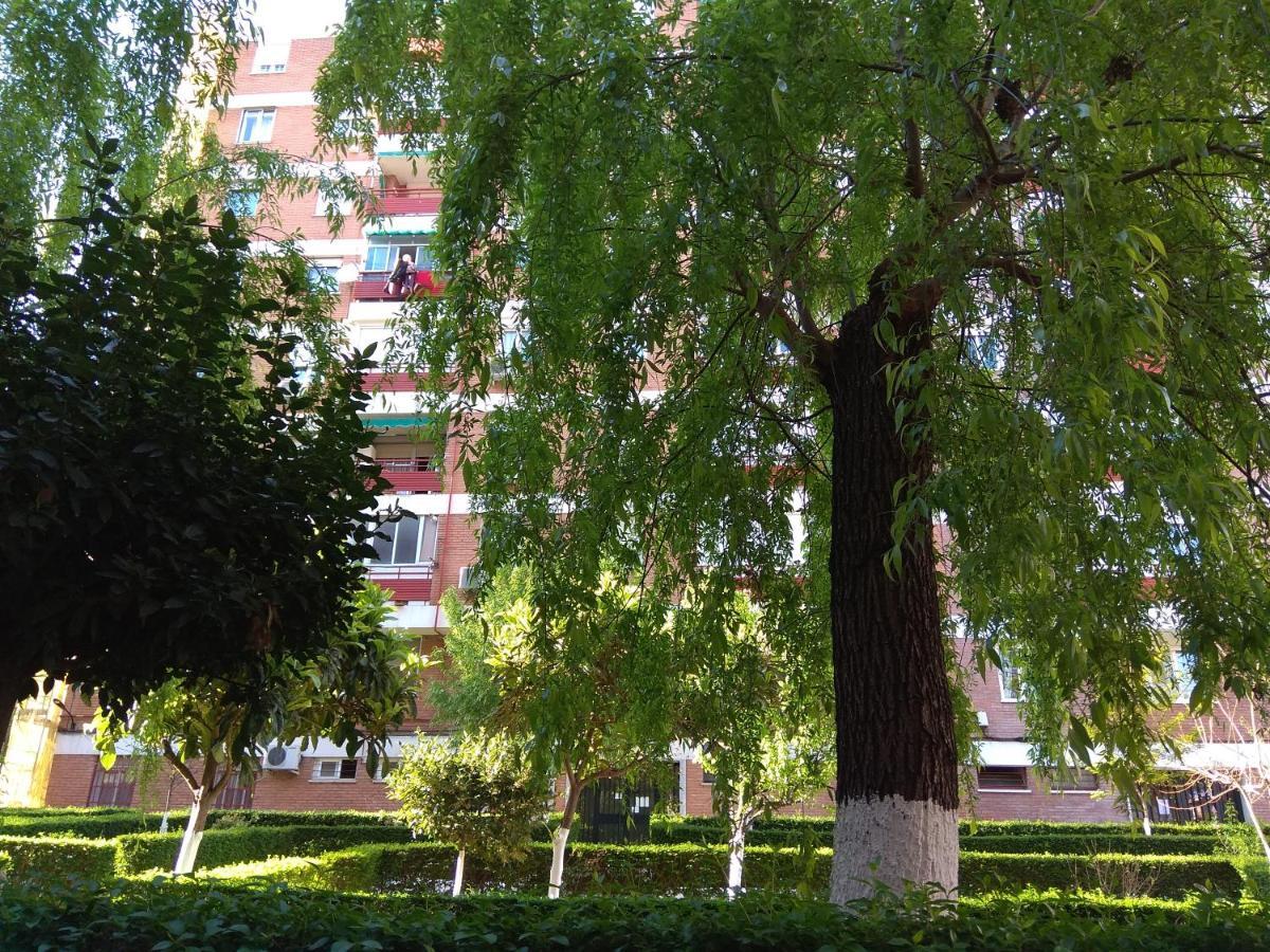 Cálido Y Bien Comunicado Habitación en casa particular